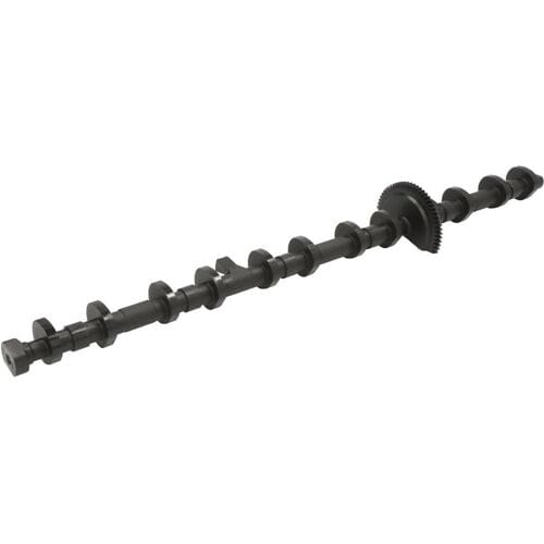 Nokkenas  FRECCIA CM05-2429