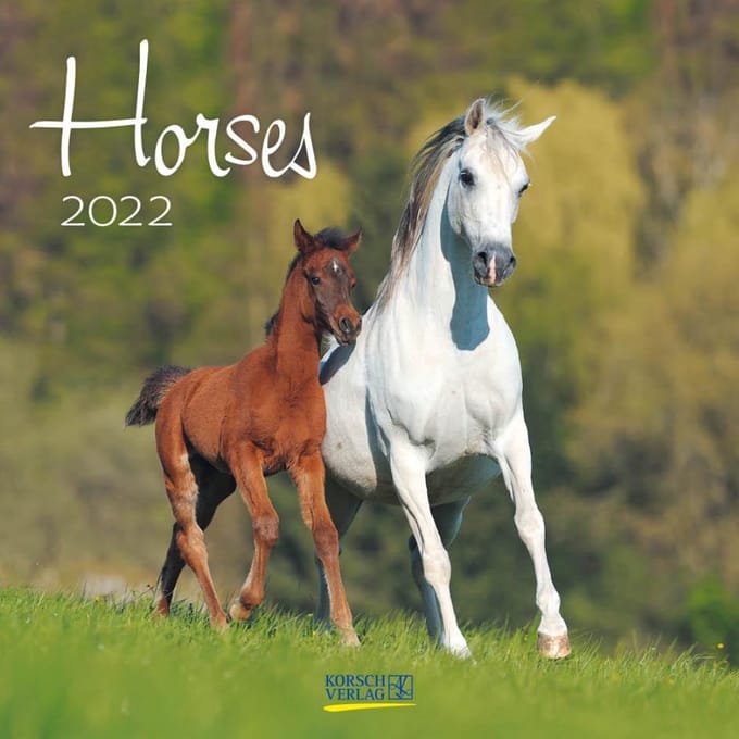 Korsch Verlag Wandkalender 2022 Horses 30 Cm Papier Groen