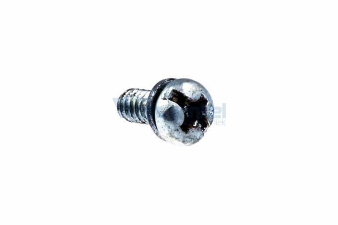 Screw