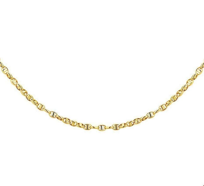 TFT Collier Geelgoud Anker 2,9 mm 45 cm