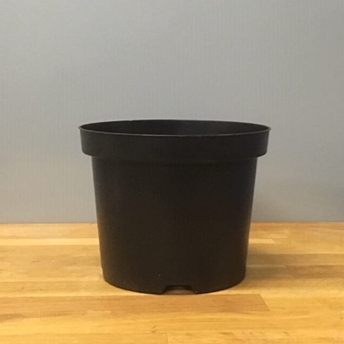 Kweekpot Zwart Rond 4 liter - Ø19cm (10 stuks)