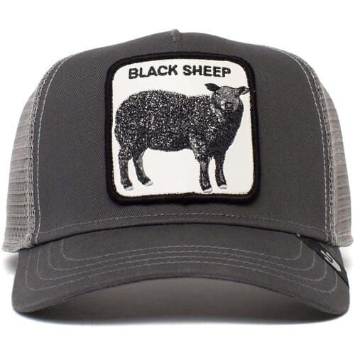 Goorin Bros. KIDS Sheepie Trucker Cap - Grey