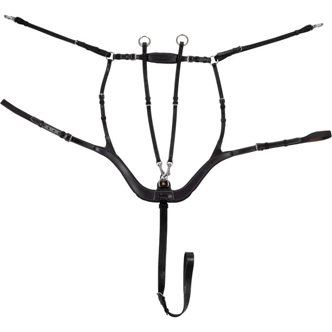Jachthalsband voor paarden Equestro Anatomic