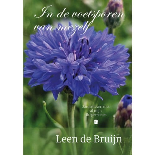 In De Voetsporen Van Mezelf - Leen de Bruijn
