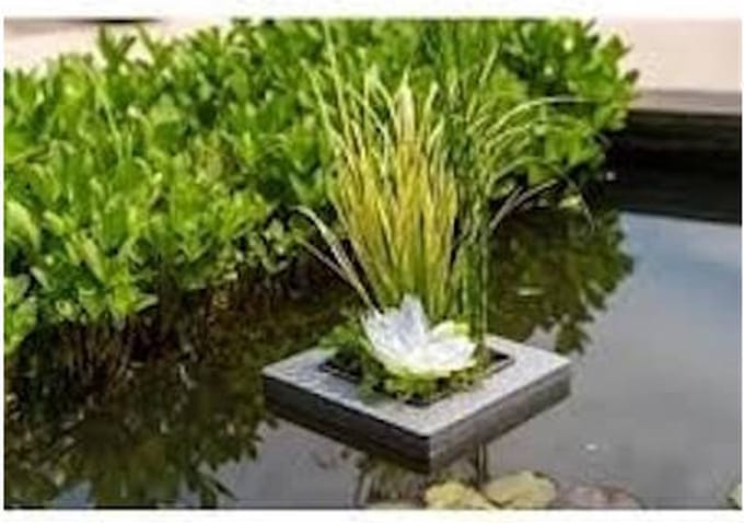 Moerings Natuurlijk Drijfring Los