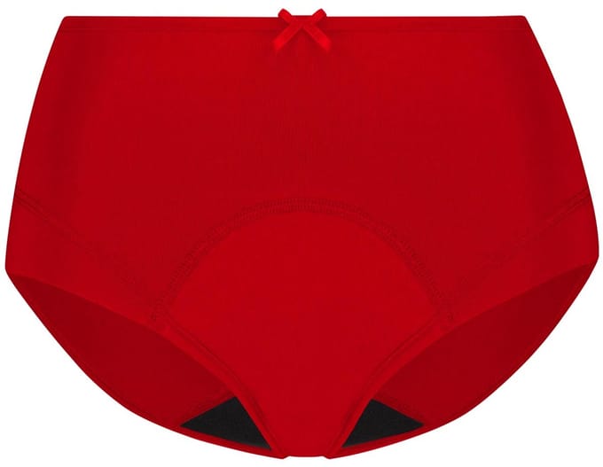 RJ Period Etain L.Maxi Brief Regular Flow Dark Red M
