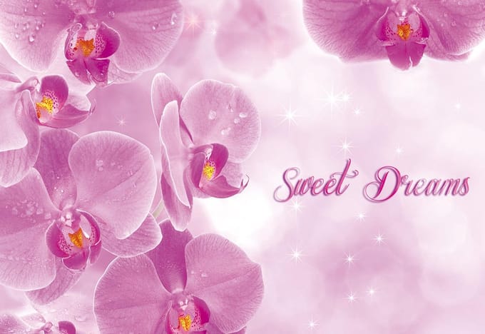 Poster | Roze | 104 x 70,5 cm