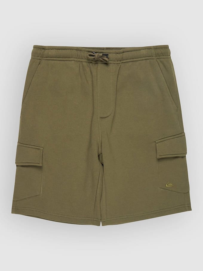 Quiksilver Eqyfb03406 Cargo Broek Groen S Man