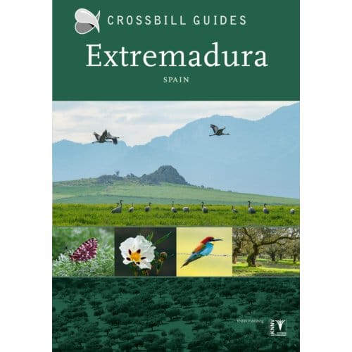 Extremadura - Crossbill Guides - Dirk Hilbers