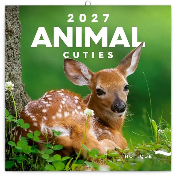 Animal Cuties Kalender 2027