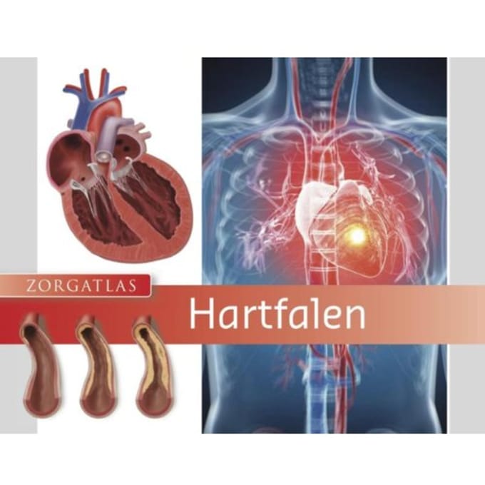 Hartfalen - Zorgatlas