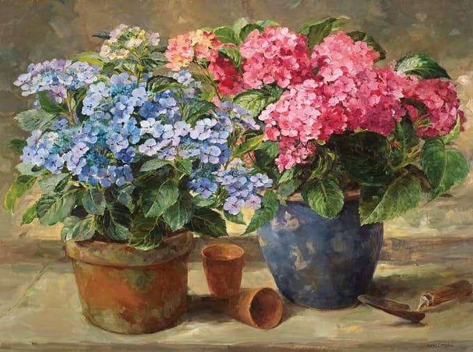 Dubbele kaart met env. Hortensia’s 20x15cm