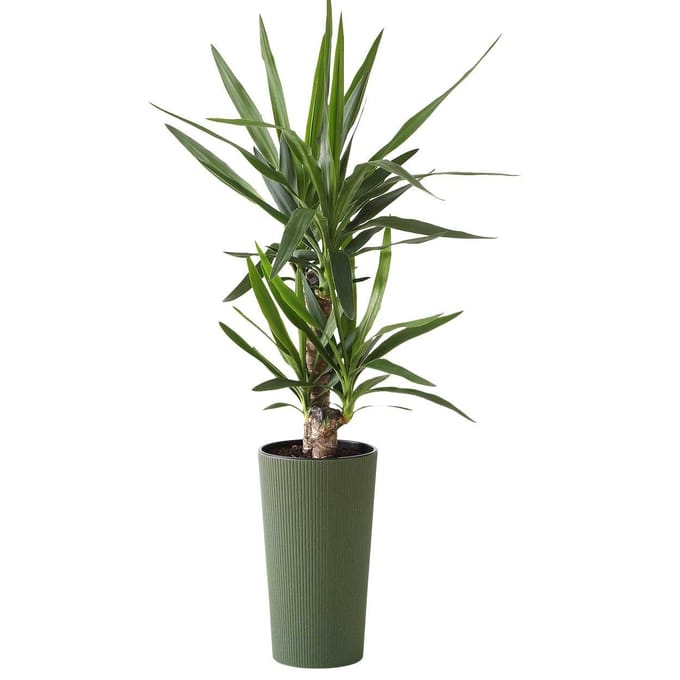 Urbanika Eco Wood - Bloempot - Modern design - Lichtgewicht - Ecologisch - 57 cm