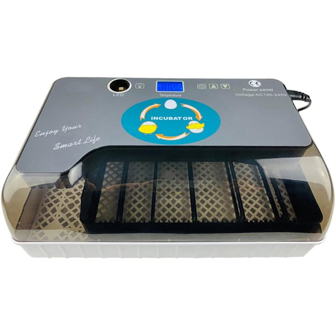 Digitale broedmachine Automatische broedmachine met eiertester Automatische eierendraaier 12 eieren Pluimvee UK Plug gray