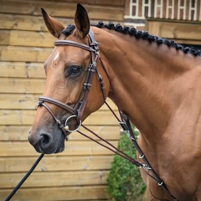 Gogue voor paard Jump'In One