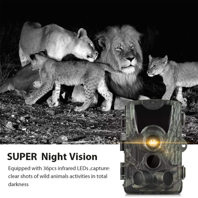 Trail Camera Nachtzicht Bewegingsgeactiveerde Waterdichte 24MP+2.7K Wildlife Camera met 36 IR LED's 5MP AA Battery