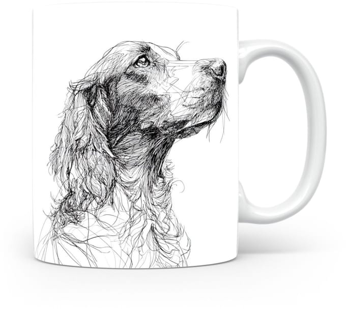 Beker Field Spaniel