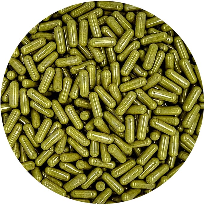 Moringa Capsules 1000 Stuks