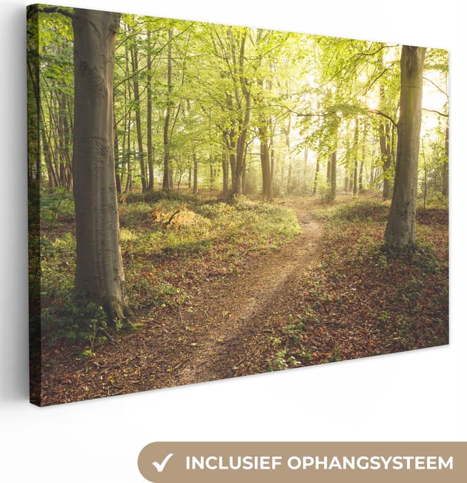 Canvas Schilderij Bos - Pad - Zonsopgang - 60x40 cm - Wanddecoratie