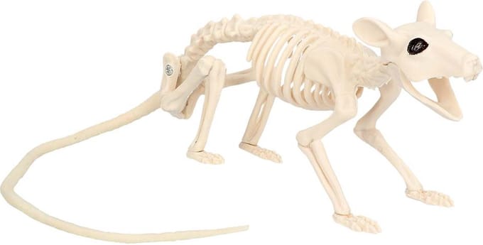 Boland - Decoratie Skelet rat Nibbles - Horror - Horror