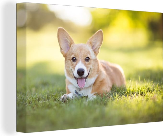 Canvas Schilderij Welsh Corgi-puppy - 30x20 cm - Wanddecoratie