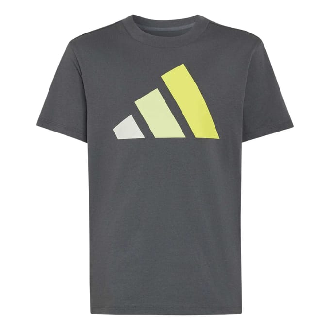 Adidas Essentials T-shirt Met Korte Mouwen Grijs 7-8 Years Kinderen