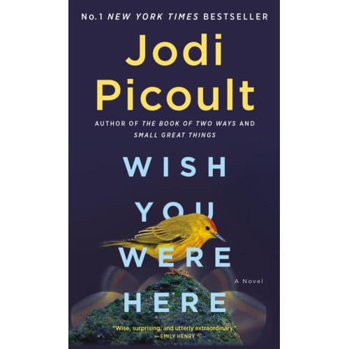 Wish You Were Here - Jodi Picoult