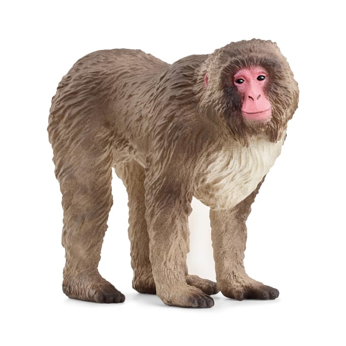 schleich WILD LIFE - Japanse makaak - 14871