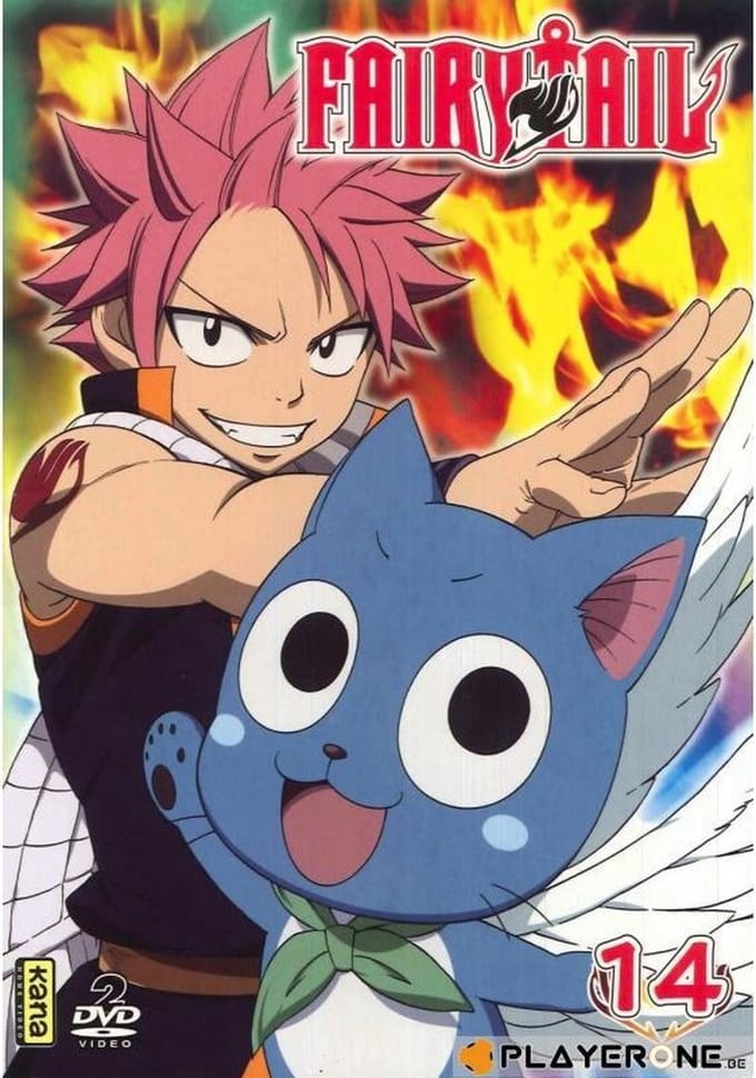 FAIRY TAIL -  Vol 14 (2DVD)