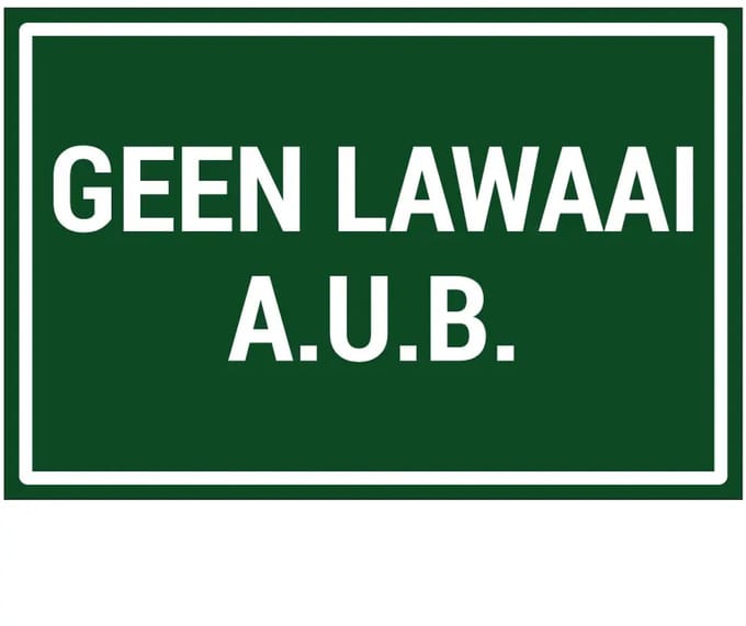 Geen lawaai aub sticker | 30 x 20 cm