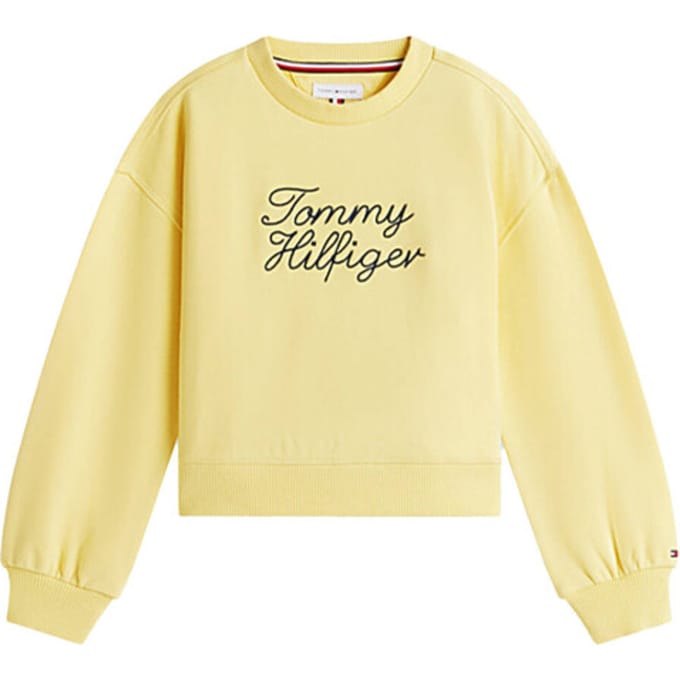 Tommy Hilfiger Sweat kg0kg09439