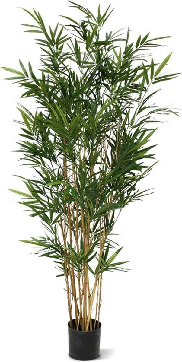 Royal Bamboe kunstboom 165cm - groen