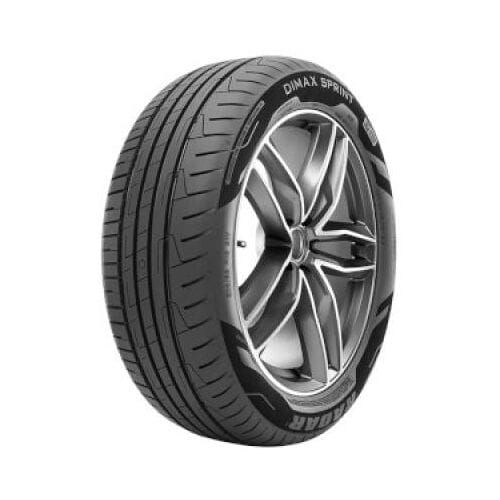 Radar Dimax Sprint 165/70 R14 81T