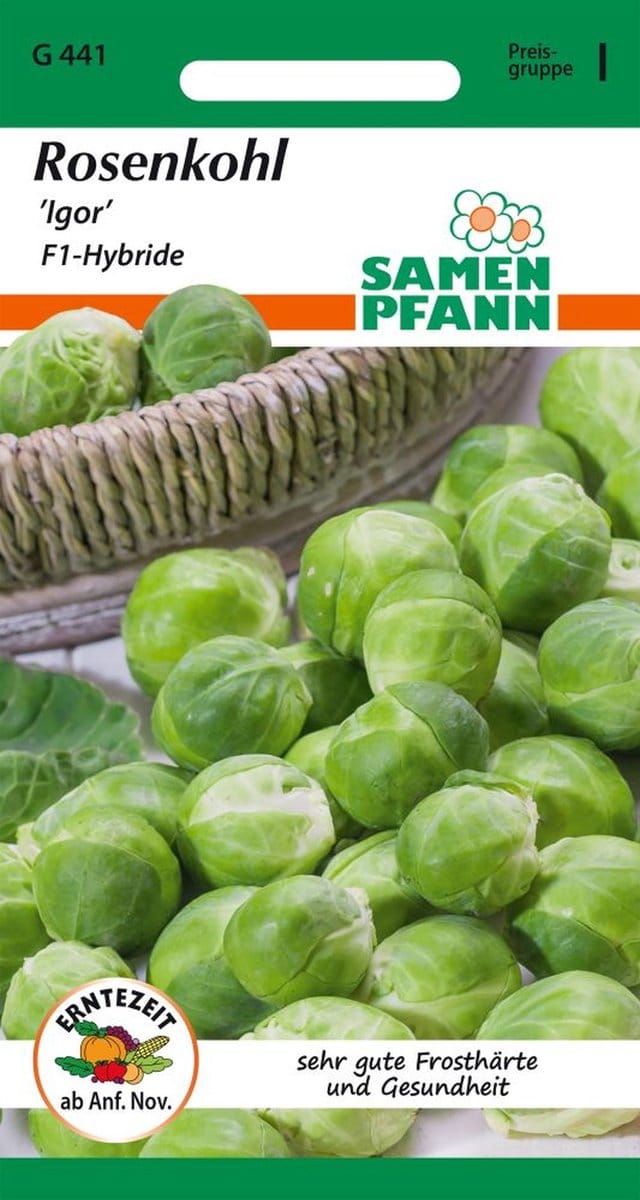 Spruitjes, Igor F1 - Groentezaden, zaden