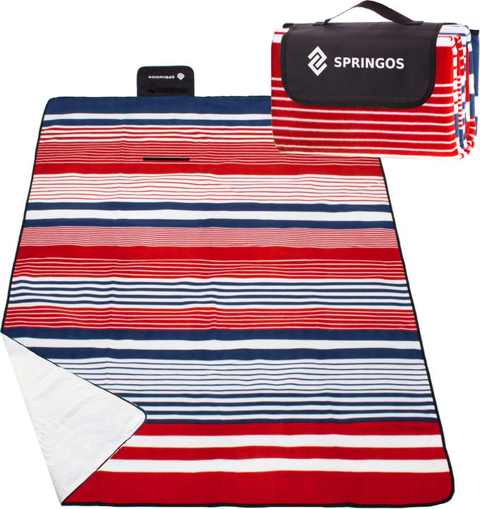 Springos Picknickkleed | Picknickdeken | Buitenkleed | Picknick | 200 x 160 cm | Blauw/Wit/Rood