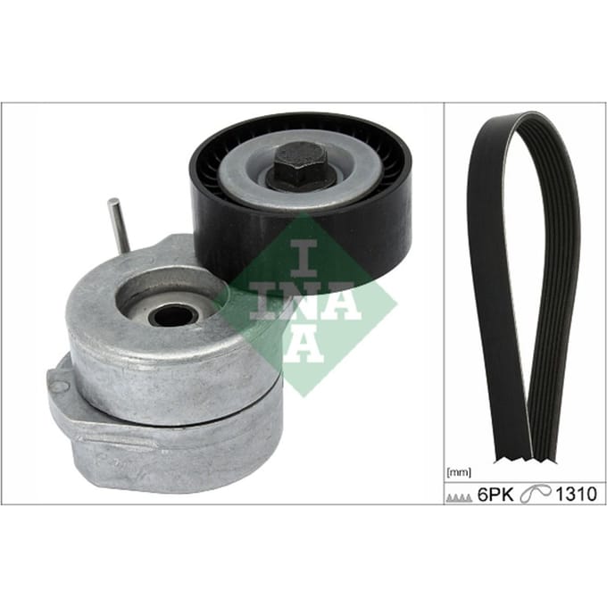 Schaeffler Ina Poly V-riem set INA 529 0455 10
