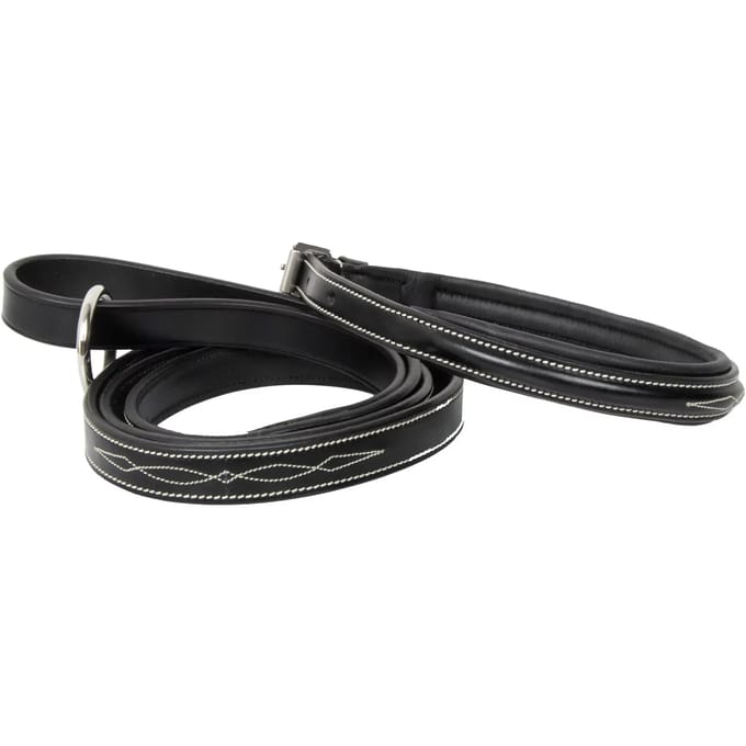 Hondenhalsband HV Polo Legacy