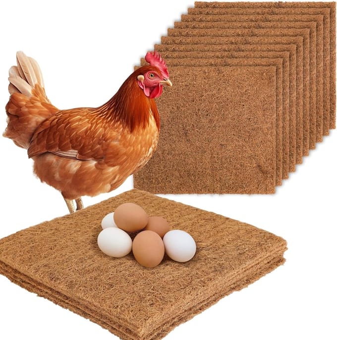Kussen voor Kippennest, 33 x 33 cm Wasbare Plastic Bodembedekking voor Kippen, Nestboxen en Eieren (6 stuks)
