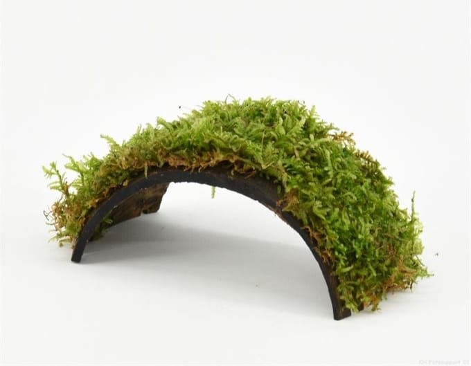Moerings Cocosnoot armband met javamos Waterplant