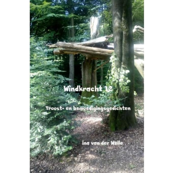 Windkracht 12 - Ina van der Welle