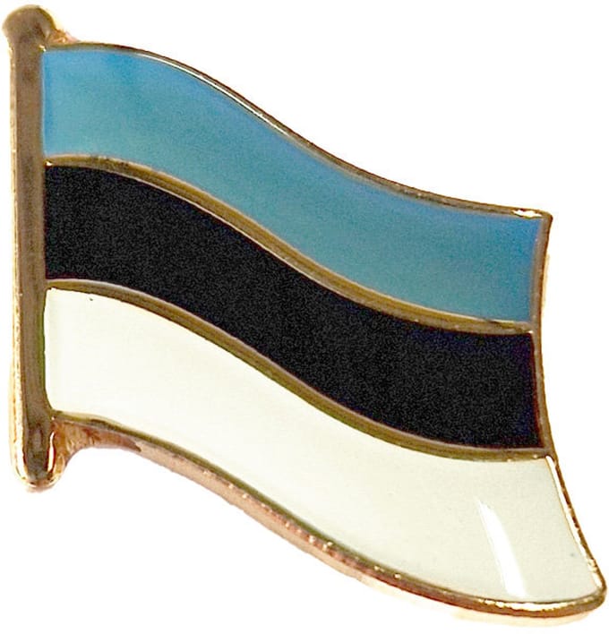 CombiCraft vlag pin Estland 18 x 14 mm - per 5 stuks