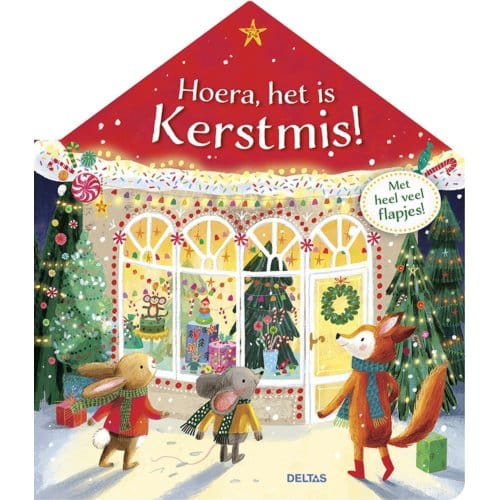 Hoera, het is Kerstmis! Kartonboekjes