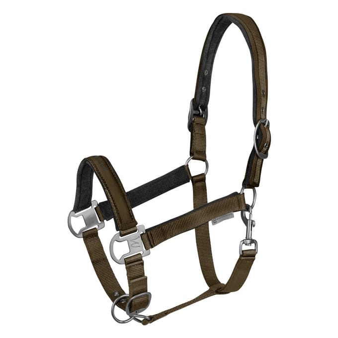 Halster voor paarden Waldhausen Atheltic