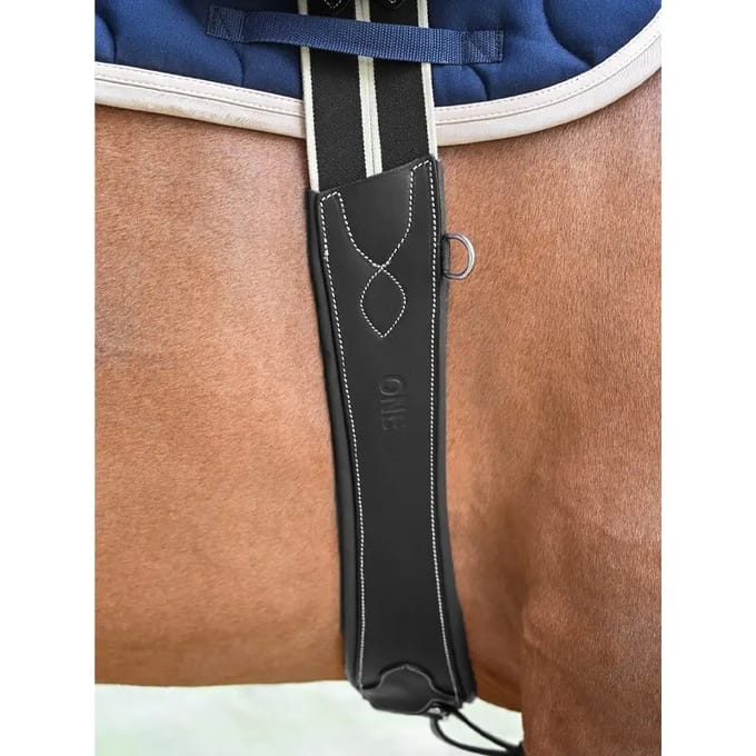 Elastische singel voor paard Jump'In One Safety