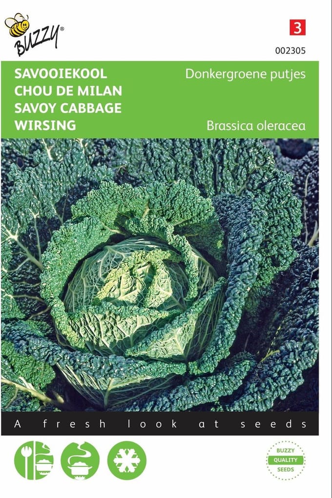 2 stuks - Buzzy - Savooiekool Donkergroene Putjes