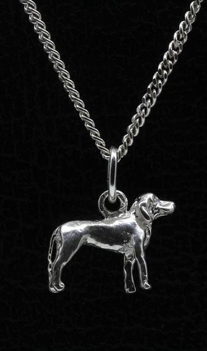 Zilveren Grand bleu de gascogne ketting hanger - klein