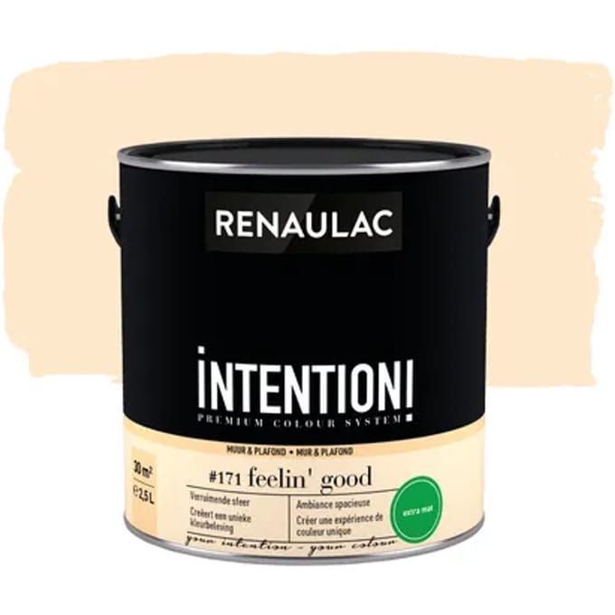 Renaulac Intention Muurverf - Extra Mat - Feelin' Good - 2,5l