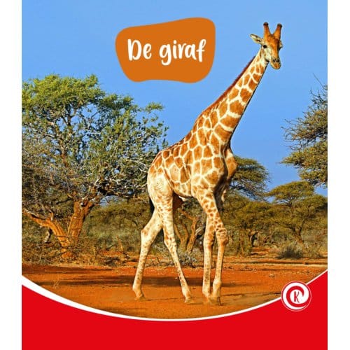 De Giraf - De Kijkdoos - Minke van Dam