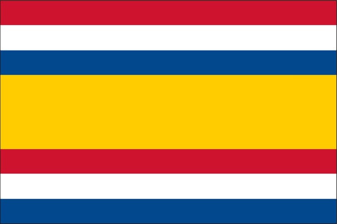 Vlag Tholen 30x45cm