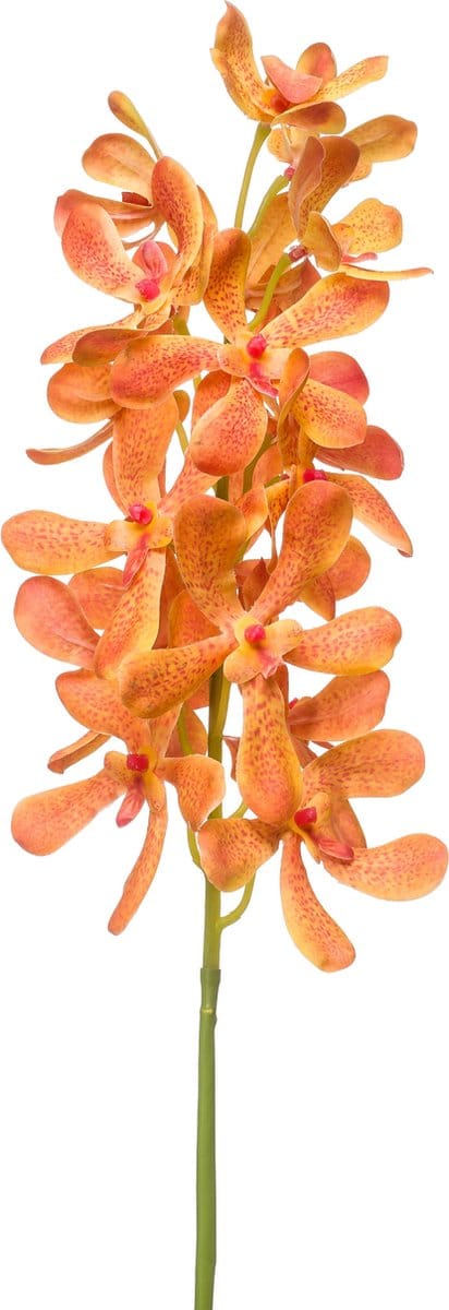 Emerald - Kunstbloem Vanda RT 80cm oranje - Kunstplant voor binnen
